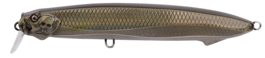 SEABASS MINNOW