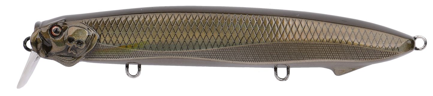 SEABASS MINNOW