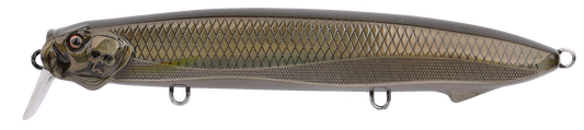 SEABASS MINNOW