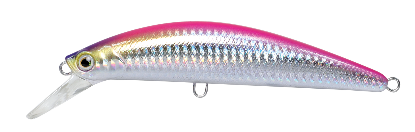 CAVALLA