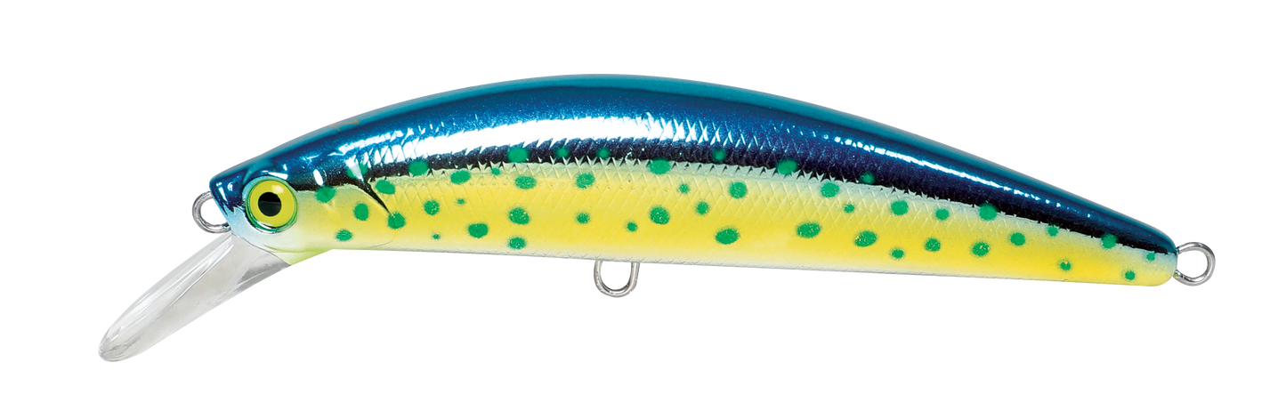 CAVALLA