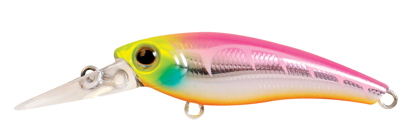 TANGO SHAD FINESSE