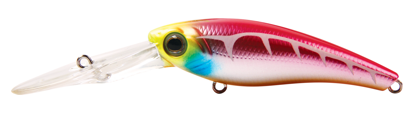 TANGO SHAD