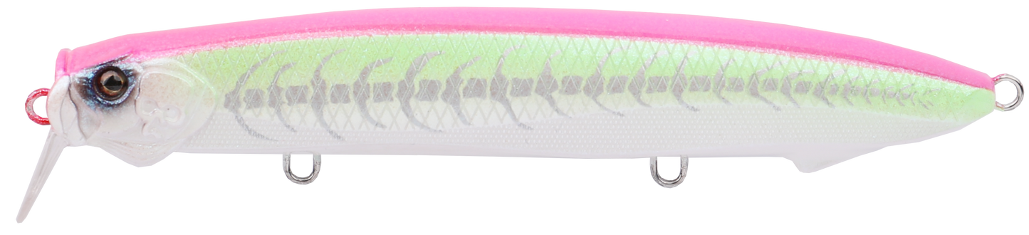 SEABASS MINNOW