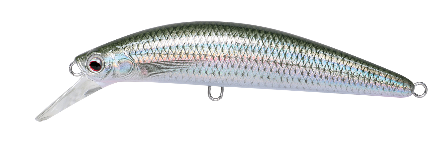 CAVALLA