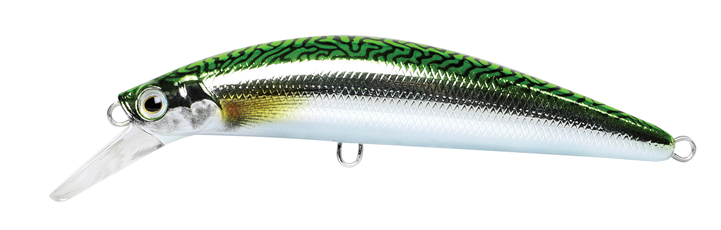 CAVALLA