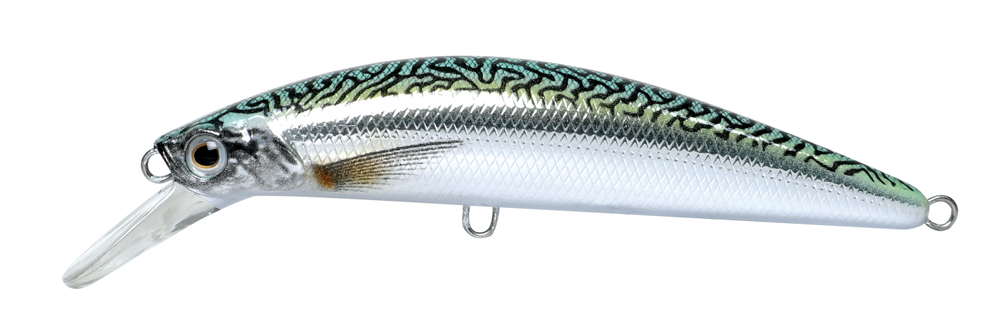 CAVALLA