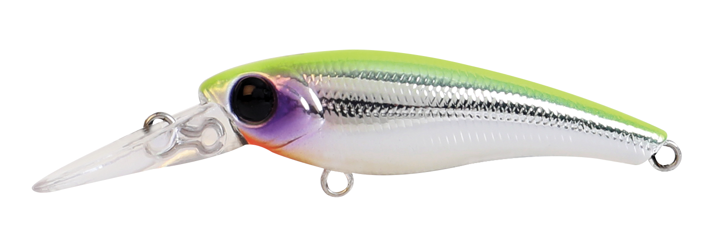 TANGO SHAD FINESSE
