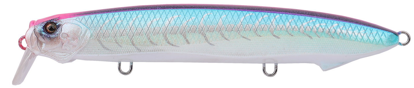 SEABASS MINNOW
