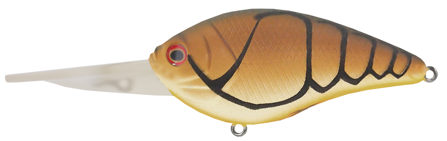 Colossal Ruby Float 100m
