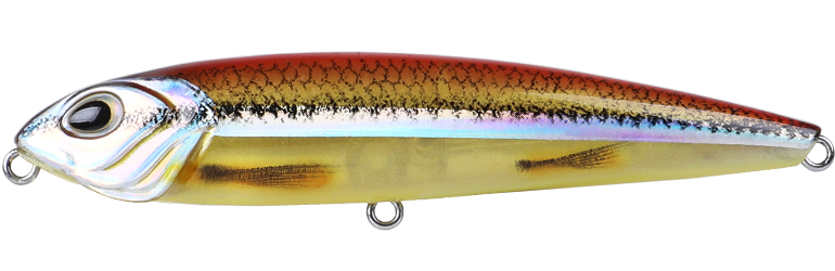 BULLET