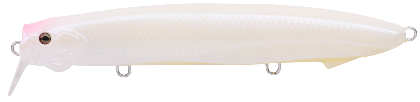 SEABASS MINNOW