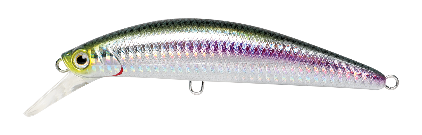 CAVALLA