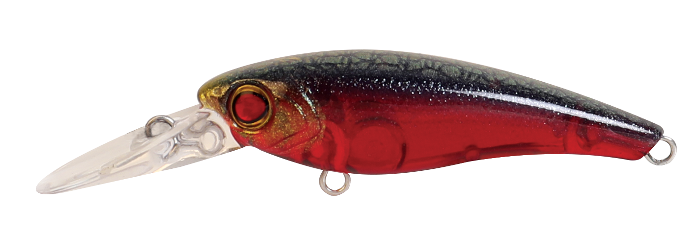 TANGO SHAD FINESSE