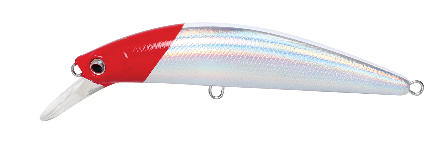 CAVALLA