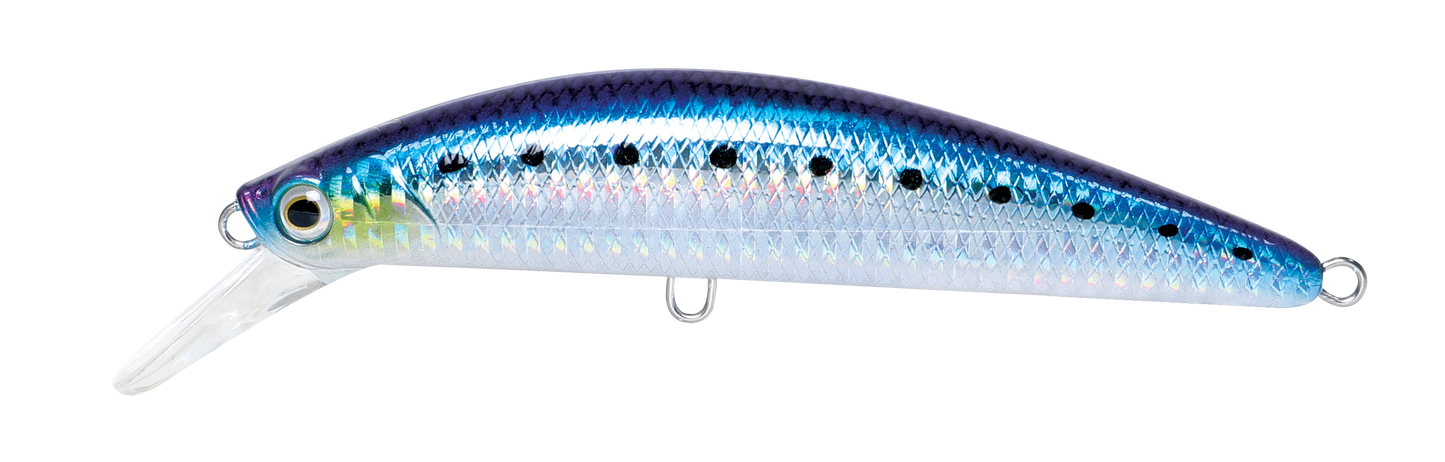 CAVALLA