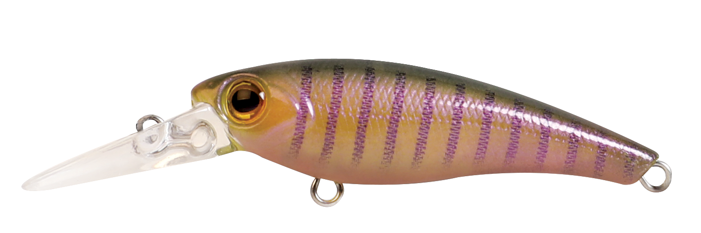 TANGO SHAD FINESSE