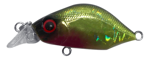 FIREFLY