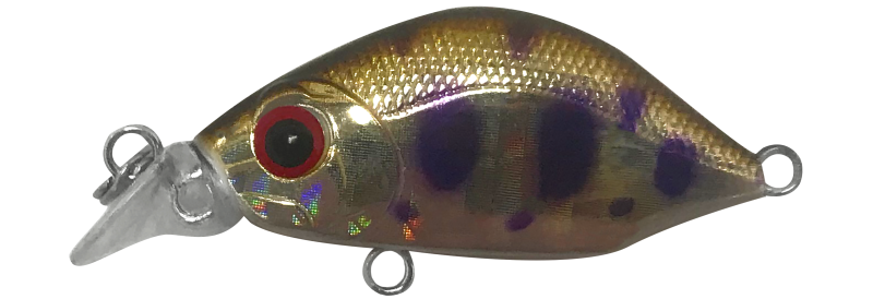 FIREFLY