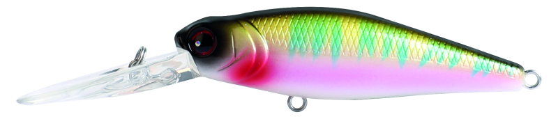 MAGNUS